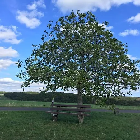 Eifelcottage Wren * Ulmen