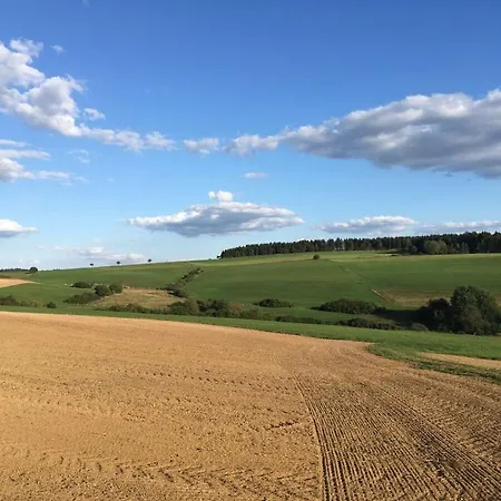 Eifelcottage Wren * Ulmen