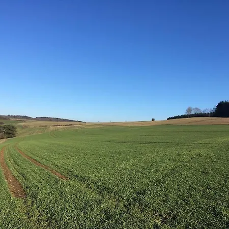 Eifelcottage Wren * Ulmen