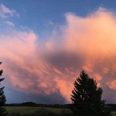 Eifelcottage Wren Vakantiehuis