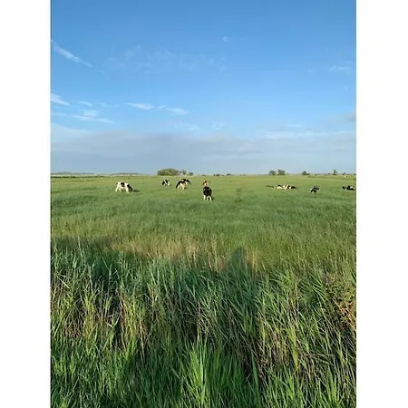 Eifelcottage Wren Vakantiehuis *