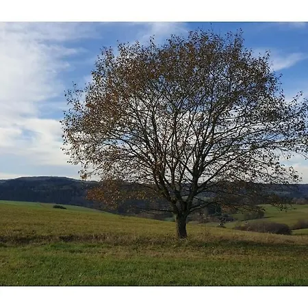 Eifelcottage Wren Vakantiehuis Ulmen