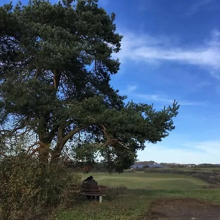 Eifelcottage Wren * Ulmen