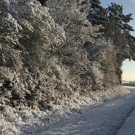 Eifelcottage Wren Vakantiehuis