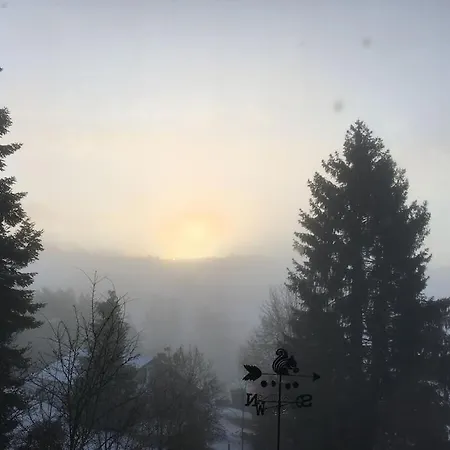 Eifelcottage Wren * Ulmen