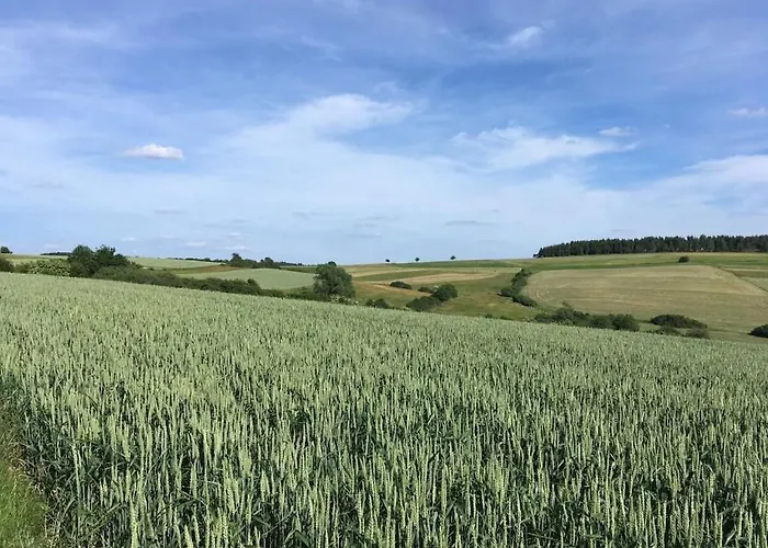 Eifelcottage Wren Semesterbostad