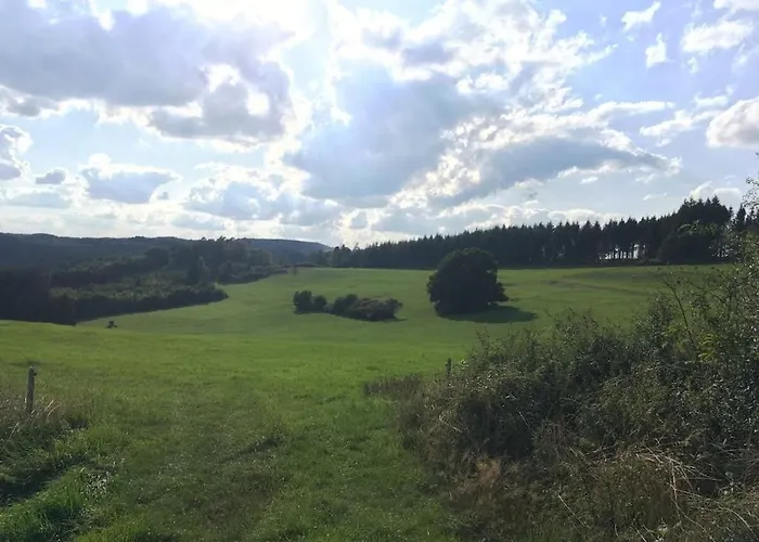 Eifelcottage Wren Ulmen