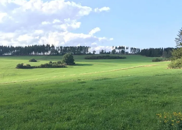 Semesterbostad Eifelcottage Wren *