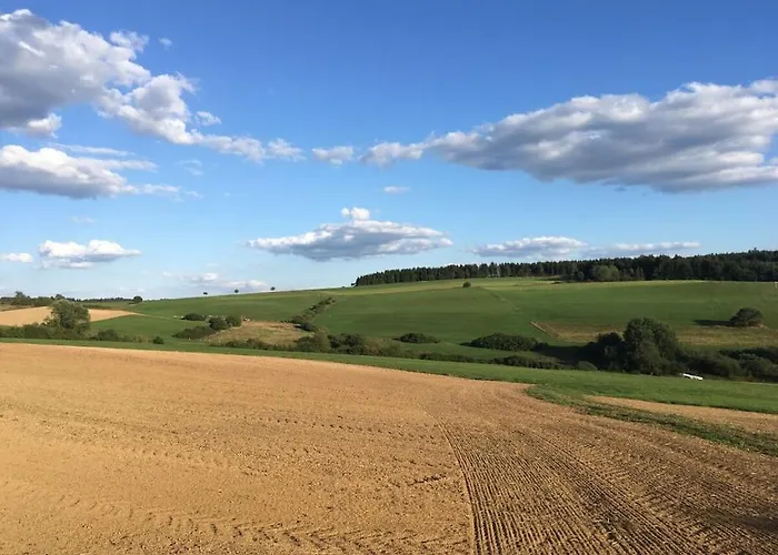 Eifelcottage Wren * Ulmen