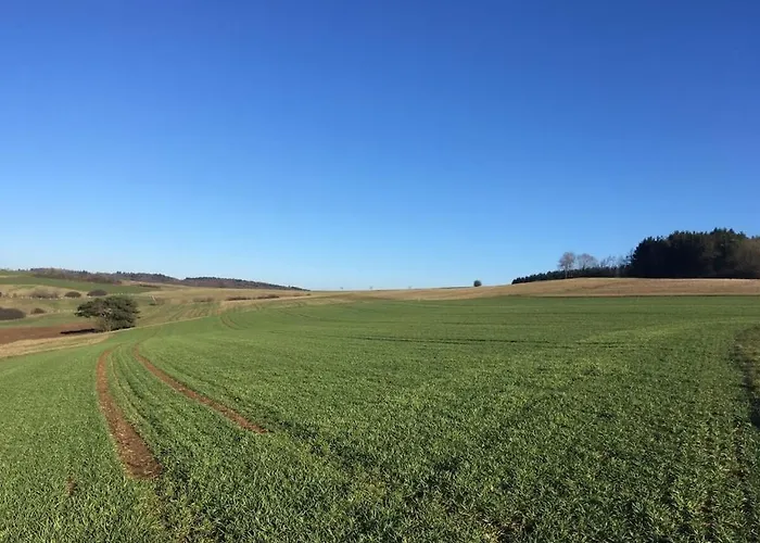Eifelcottage Wren * Ulmen