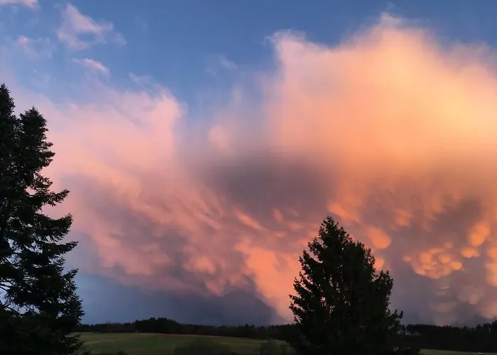 Eifelcottage Wren Semesterbostad