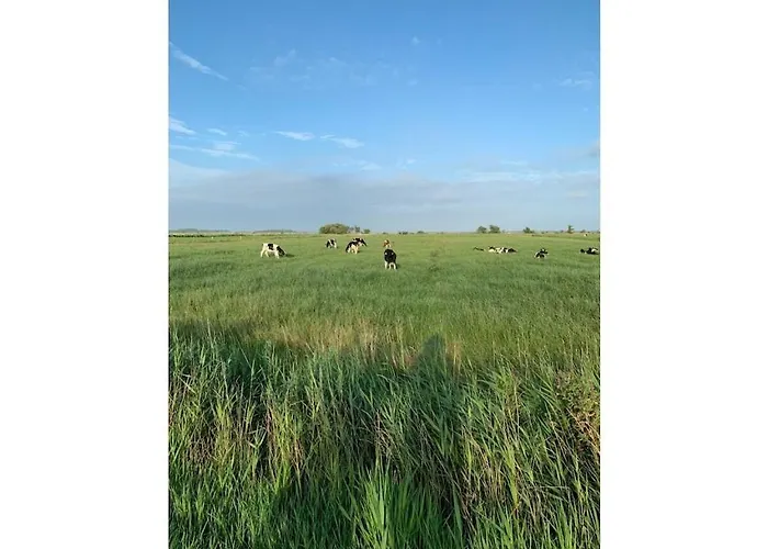 Eifelcottage Wren Ferienhaus *
