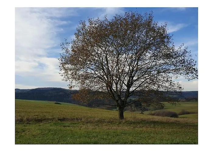 Eifelcottage Wren Ferienhaus Ulmen