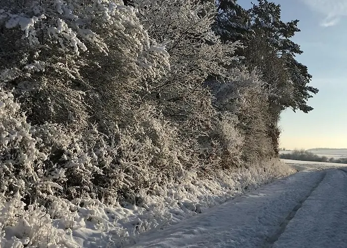 Eifelcottage Wren Ferienhaus