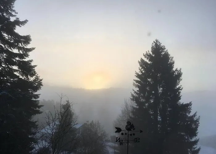 Eifelcottage Wren * Ulmen